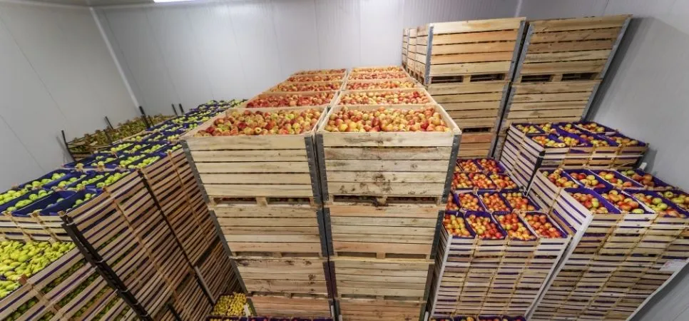 Soğuk Oda Paneli Seçerken Önemli 5 Kriter